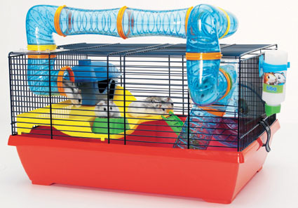 cage hamster