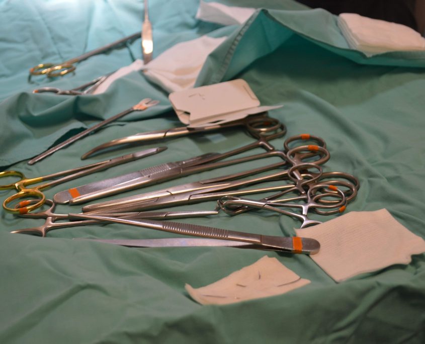 Clinique vétérinaire Valmont Repentigny