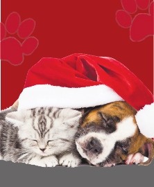 Image 2 - Temps des fêtes (2)